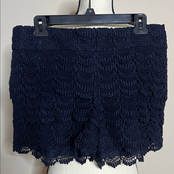 🅿️🌀🩵LOFT Navy Lace Crochet Shorts - Picture 5 of 12